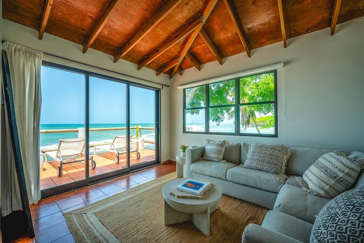 Villa Salvaje - Beachfront Luxury Villa + 6br - Puerto Rico