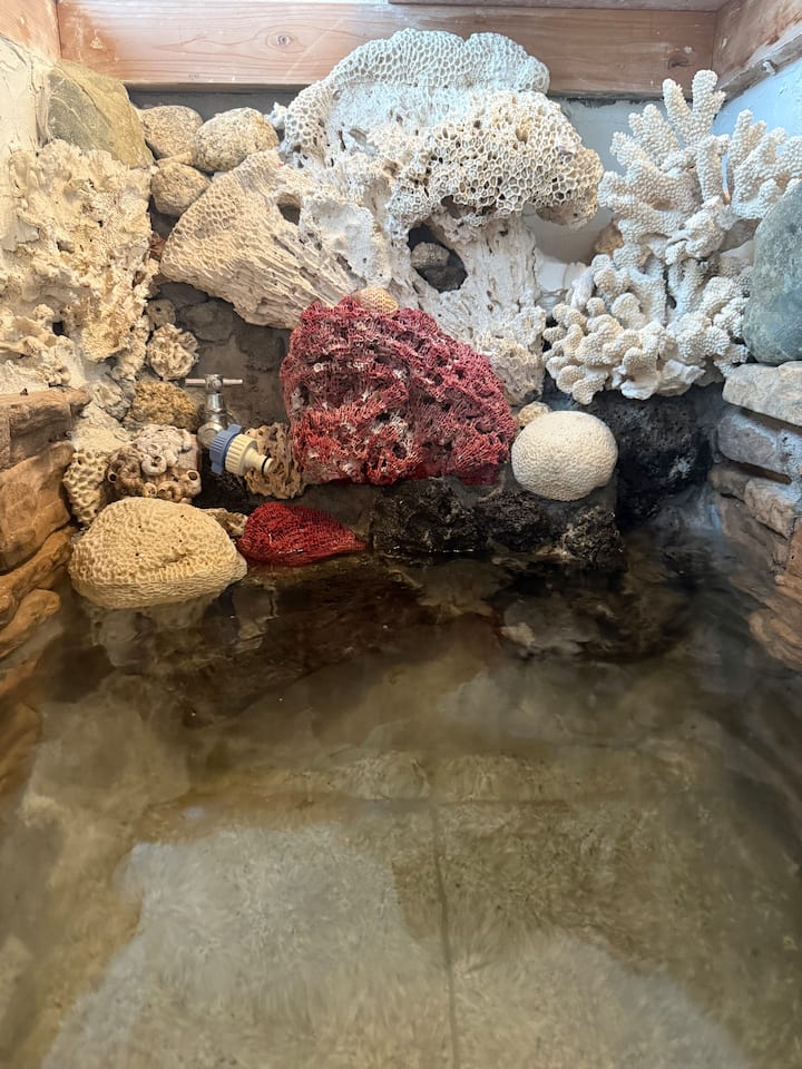 フルバスルーム2