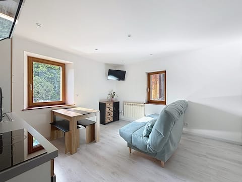 Top performing Airbnb: The Foron Cocoon in Taninges