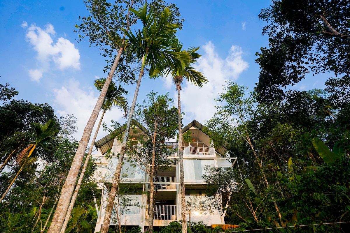 A modern three-story structure is surrounded by tall palm trees and lush greenery. The building features multiple balconies and large windows, inviting natural light. The setting emphasizes a sense of seclusion and harmony with the surrounding nature.