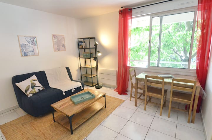 Appartement Beaux-arts - Montpellier