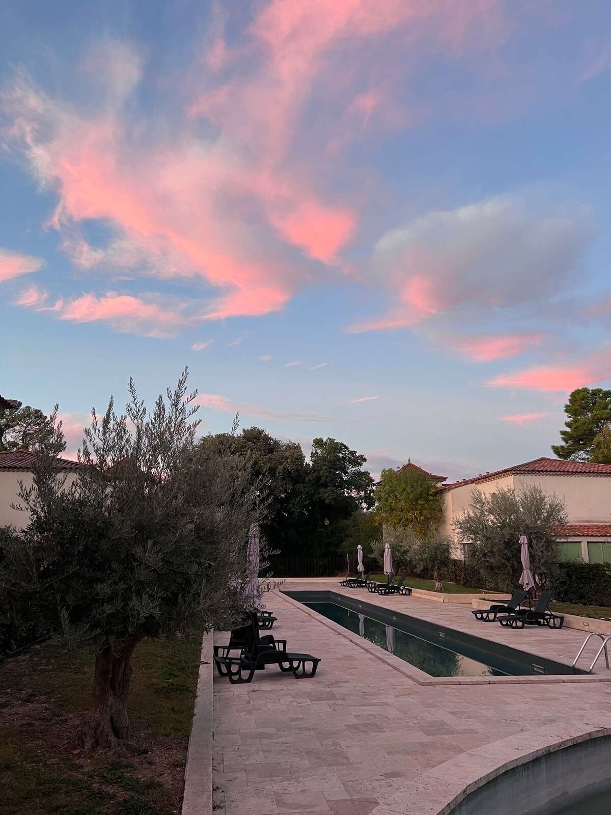A serene outdoor area features a swimming pool flanked by lounge chairs under the soft glow of a sunset sky. Olive trees add a natural touch, while the surrounding greenery provides a tranquil backdrop, highlighting a peaceful environment for relaxation.