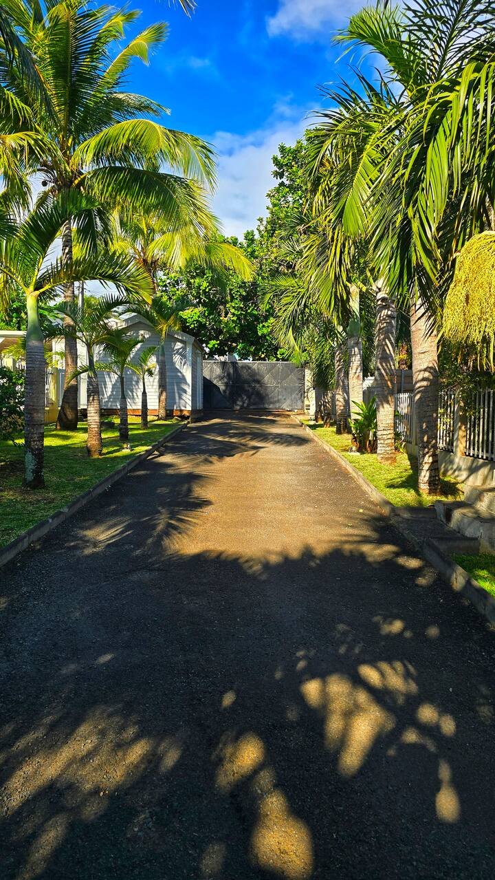 L'Oasis à Saint-Pierre — photo 9