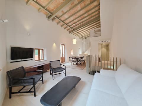 Successful Airbnb property: Espectacular rooftop with Cathedral views and BBQ in Palma