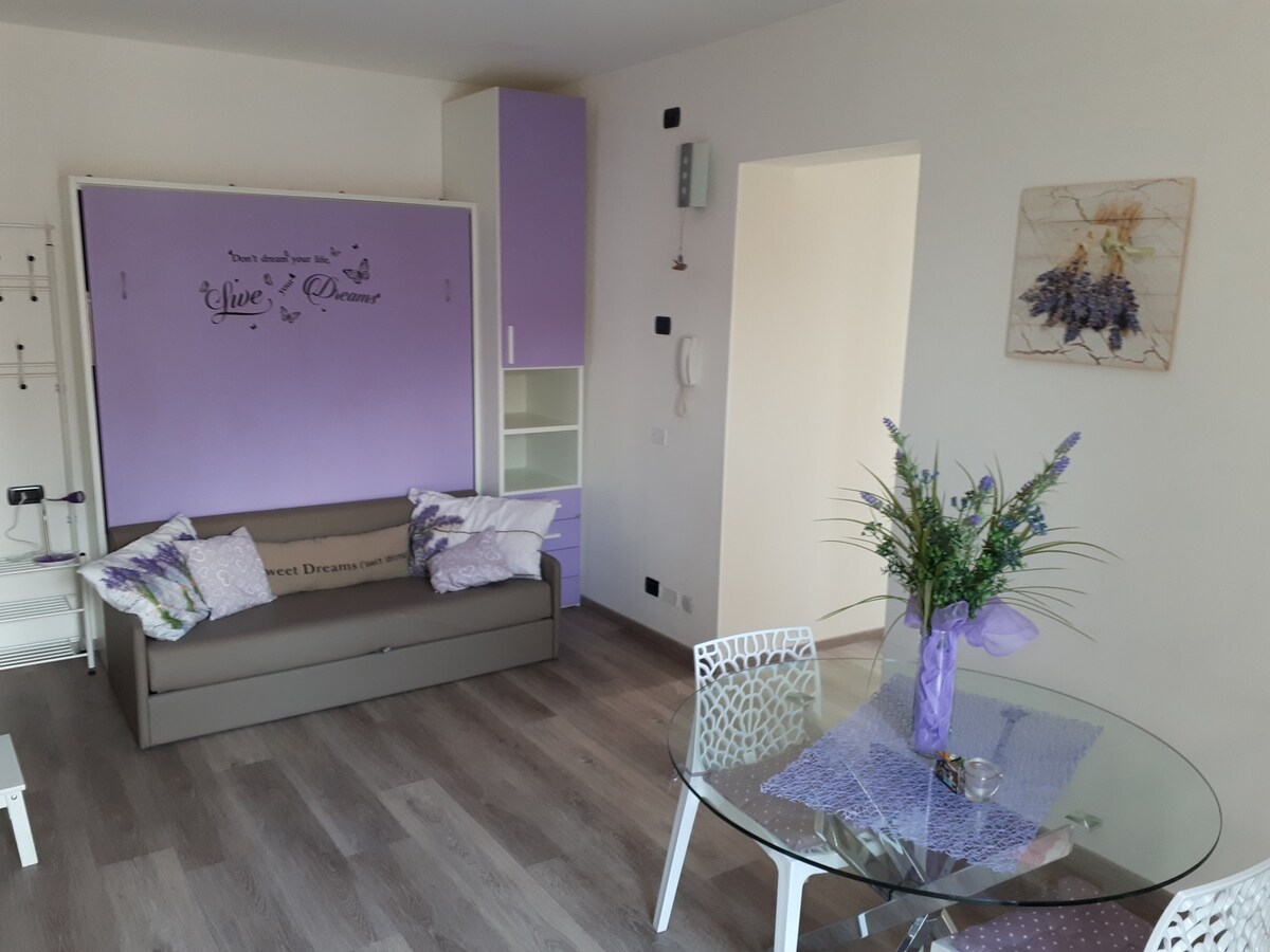 изчезнал диван Лавандула