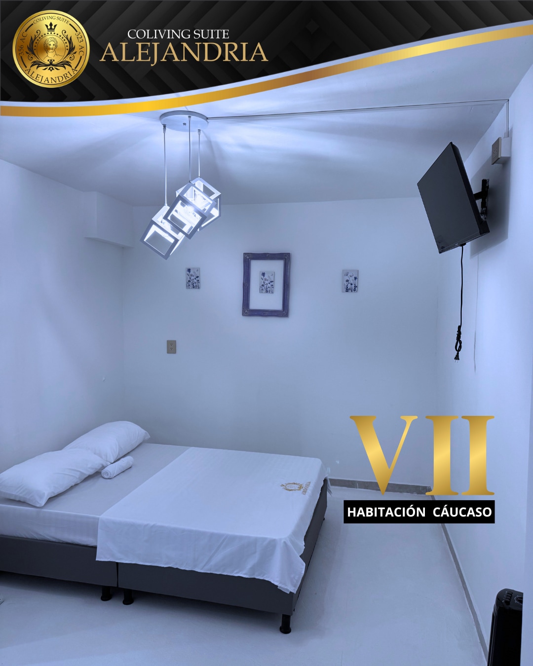 A private room features a spacious bed with white linens positioned against a white wall. A flat-screen TV is mounted above, and modern pendant lighting is suspended from the ceiling. Subtle artwork decorates the walls, contributing to a minimalistic aesthetic.