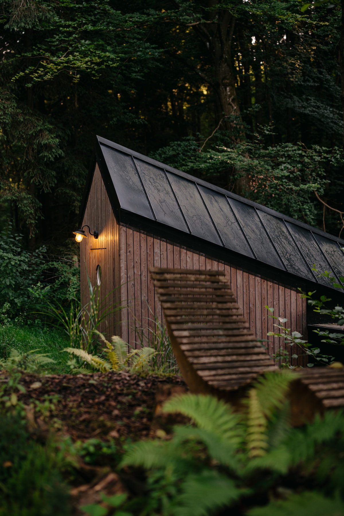 A small cabin with a steeply pitched roof is nestled among lush greenery. Soft outdoor lighting accentuates the wood paneling, while a curved wooden pathway leads to seating arranged around the cabin. Ferns and other native plants create a natural, serene environment.