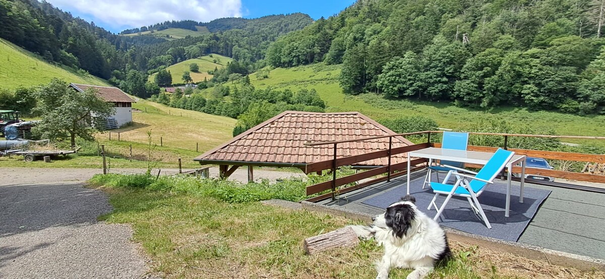 A serene outdoor terrace features a table and two chairs, surrounded by lush green mountains. A dog sits calmly on the grass, with picturesque rolling hills visible in the distance, providing a tranquil setting for relaxation.