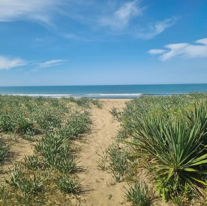 Casa Sulla Spiaggia - Sea And Sand - Paestum
