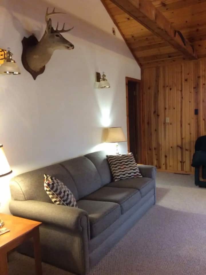 Cabin 2 - 2 Bedroom W Beach Access On Autrain Lake - Au Train, MI
