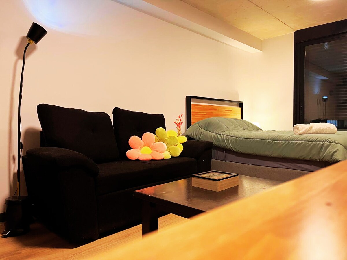 Successful Airbnb property: March. Pool, Gym & Pool Table for Two in Pocitos