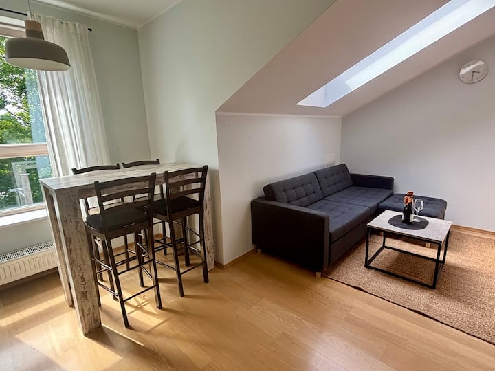 A cozy and bright living area with a comfortable sofa-bed and a large dining table — perfect for relaxing and enjoying meals together after exploring the city.