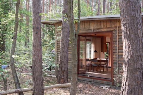 Eco forest escape with 2000m2 private forest