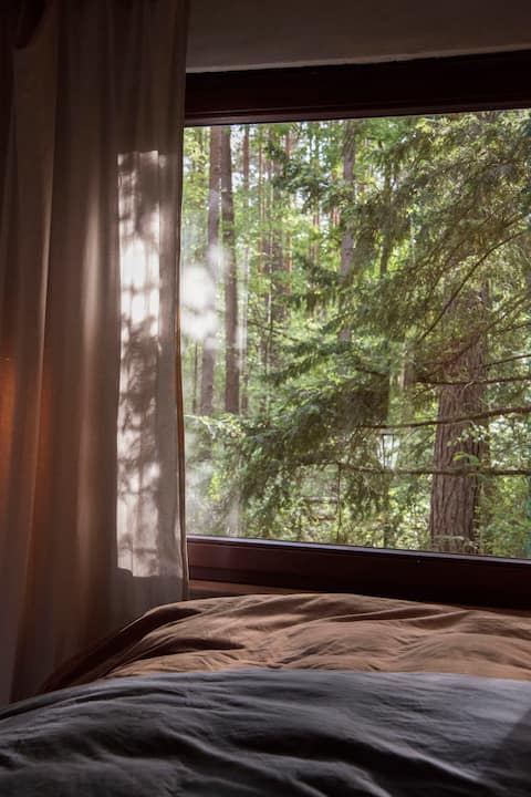 Eco forest escape with 2000m2 private forest