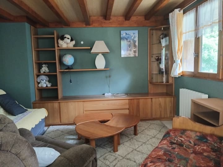 Vue Exceptionnelle Sur La Meije - La Grave
