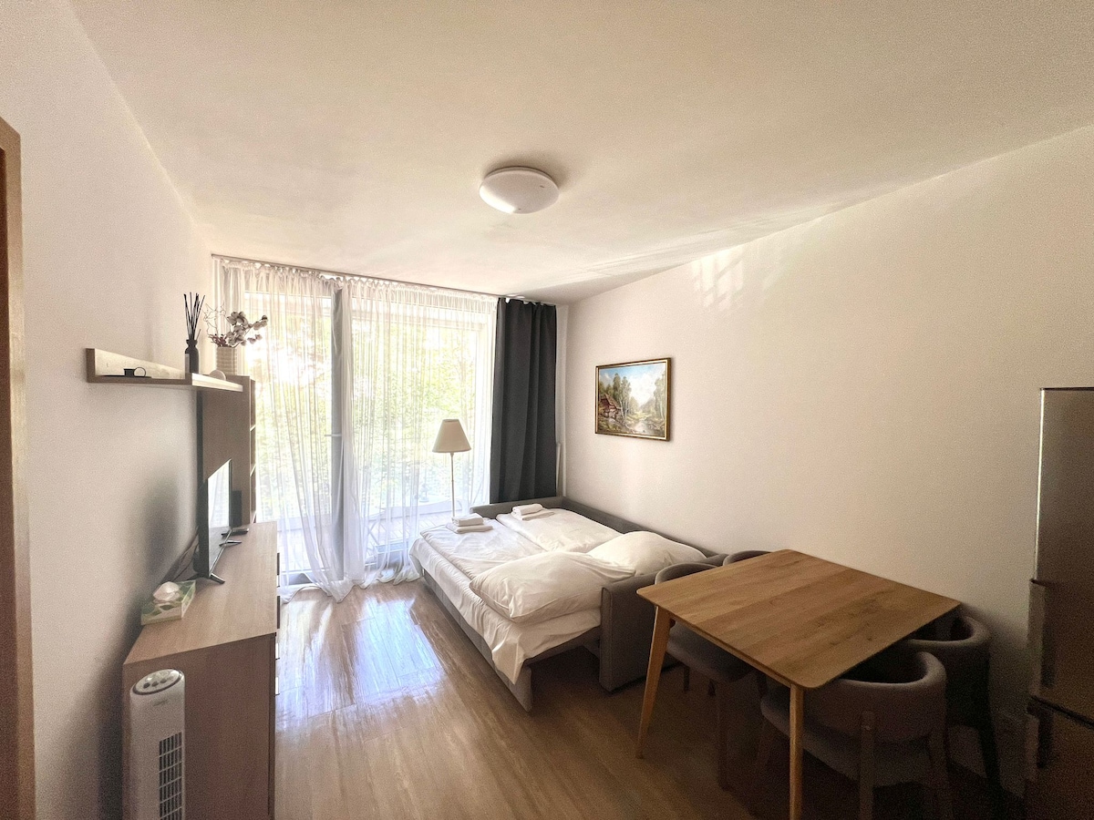 A bright room features large windows covered by sheer curtains, allowing natural light to flow in. A spacious bed with crisp white bedding is placed against the wall, beside a wooden dining table surrounded by four chairs. A simple artwork adorns the wall, enhancing the room's design.