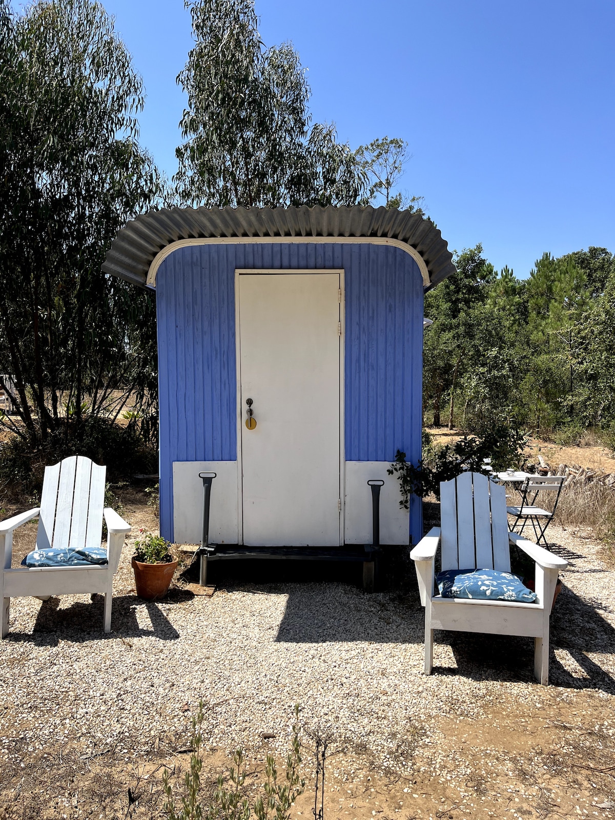 A cozy Bauwagen is shown, featuring a blue exterior and a simple white door. Two white Adirondack chairs sit on either side, accompanied by a small table and a potted plant, all surrounded by natural greenery and a gravel pathway.