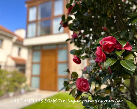 New. Lovely  house 5 min. walking to the beach.