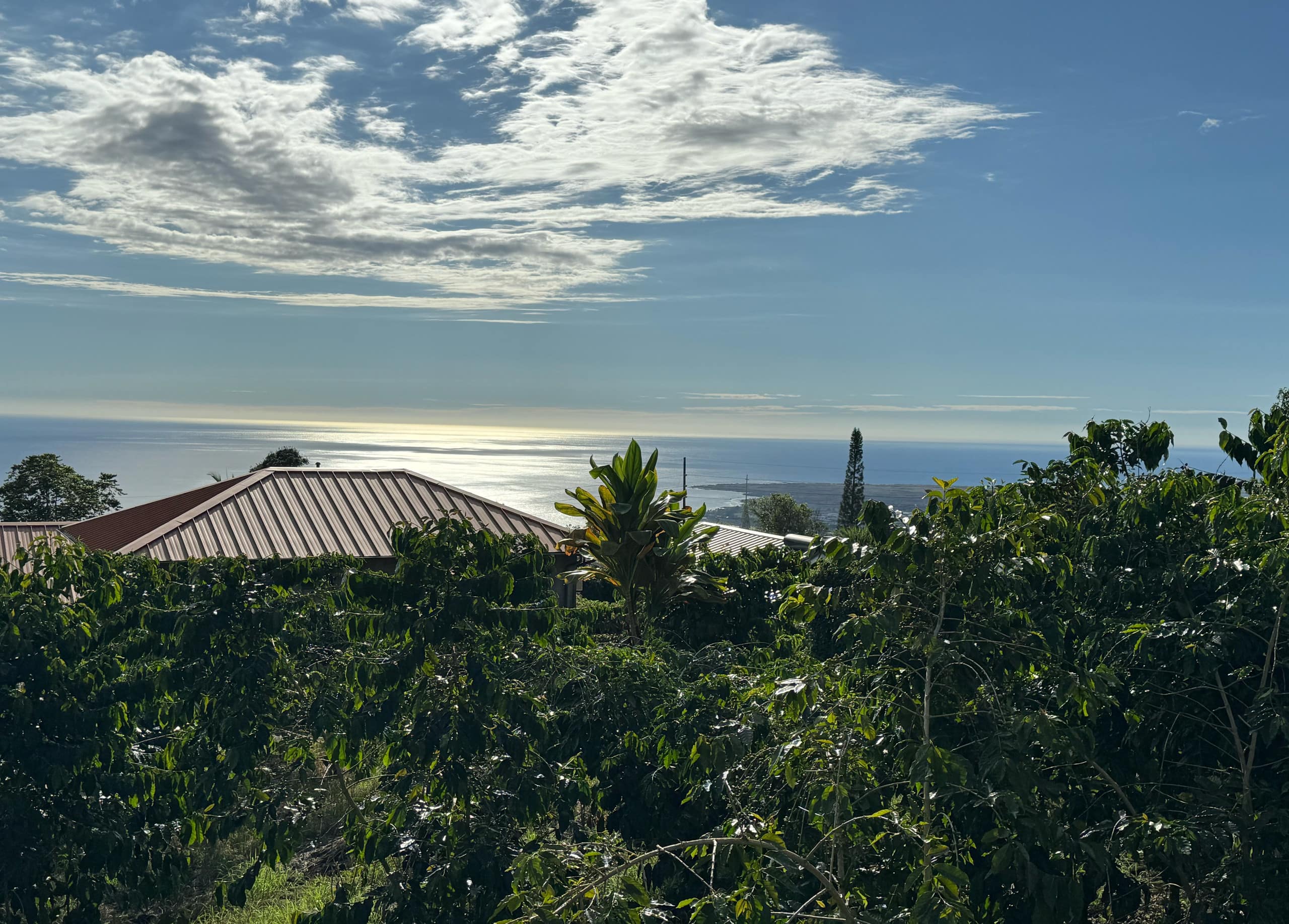 Home in Holualoa · ★4.88 · 1 bedroom · 3 beds · 1 bath - Photo 21