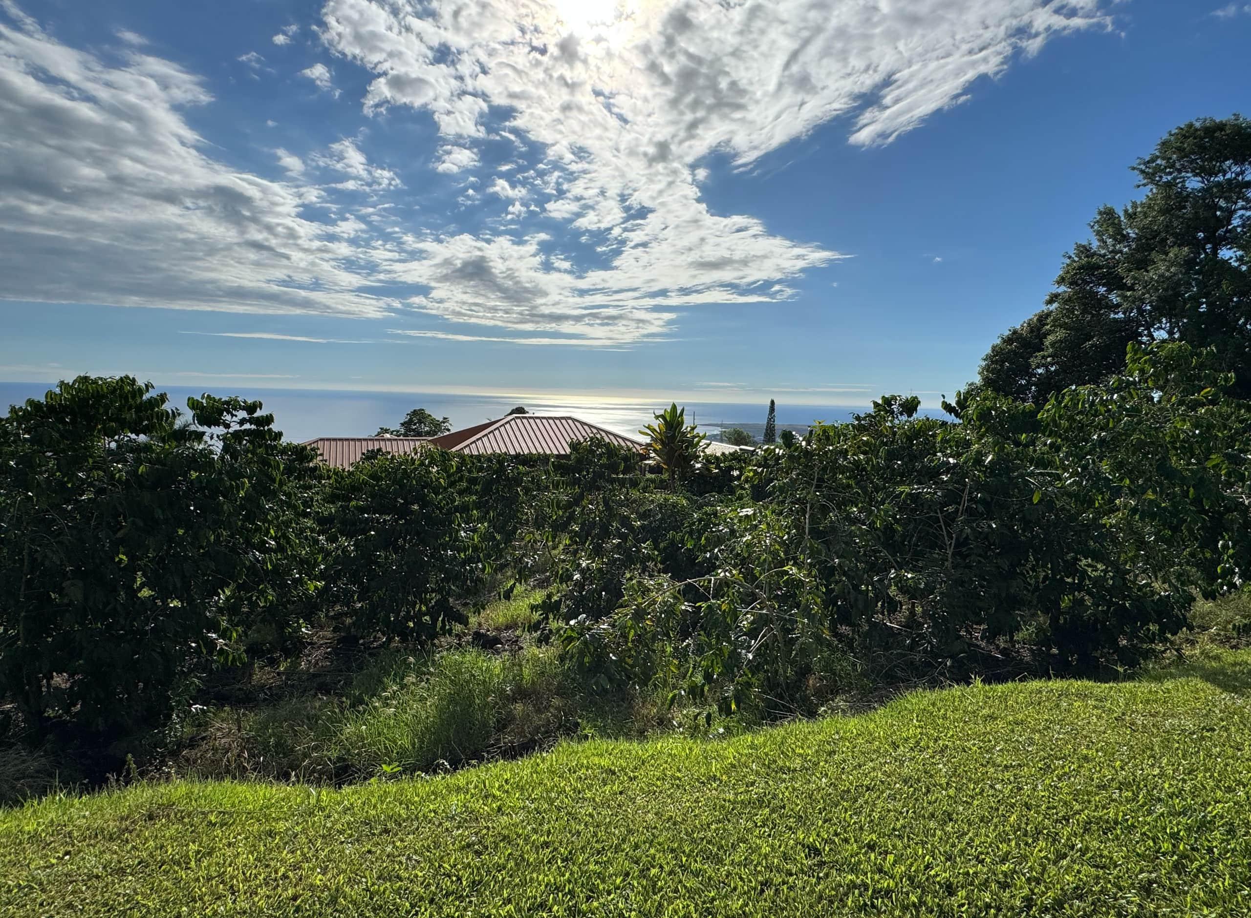 Home in Holualoa · ★4.88 · 1 bedroom · 3 beds · 1 bath - Photo 20