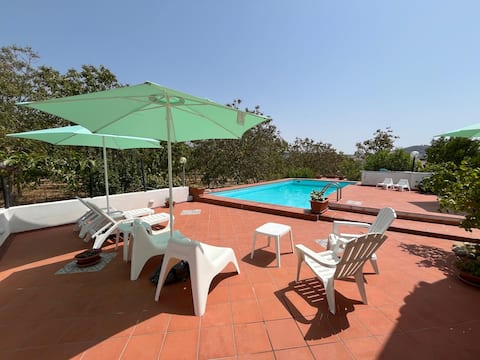 Villa Paola - pool surrounded by greenery