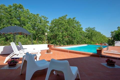 Villa Paola - pool surrounded by greenery