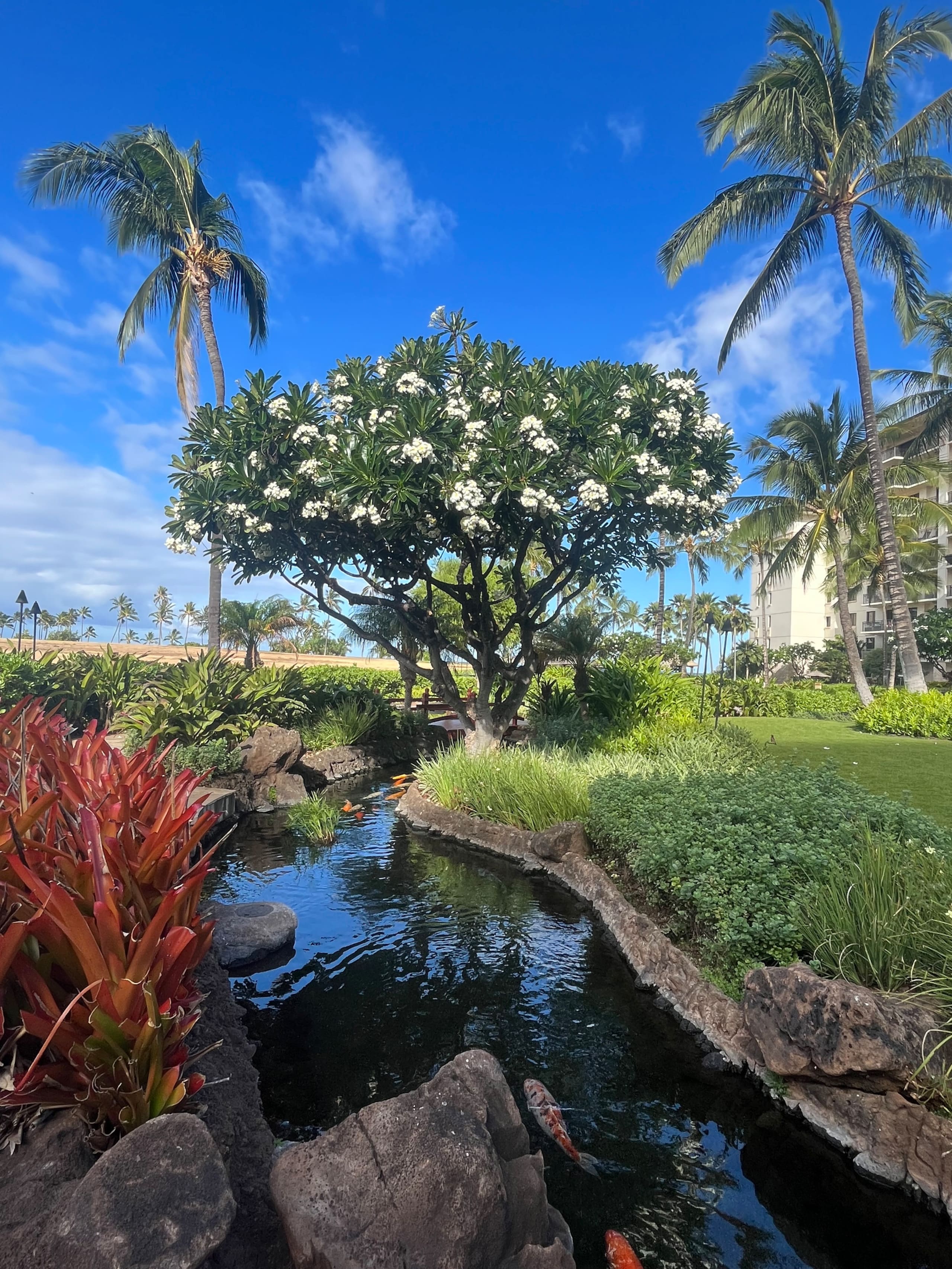 Condo in Kapolei · ★4.93 · 3 bedrooms · 4 beds · 3 shared baths - Image 42