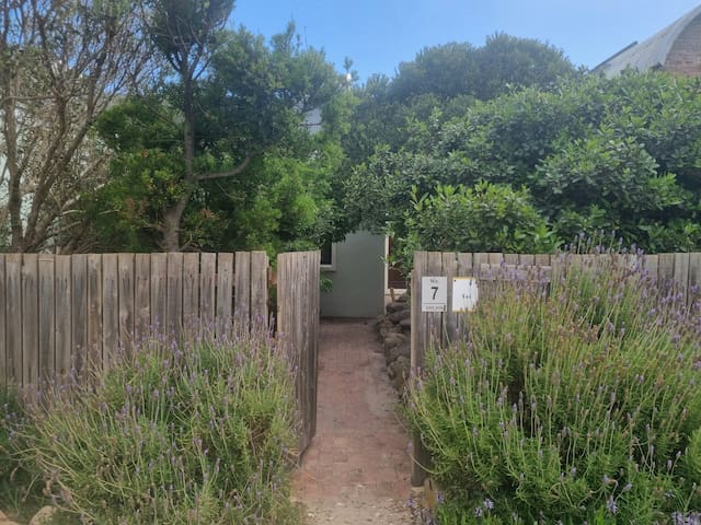 Scarborough Beach House gallery image 3