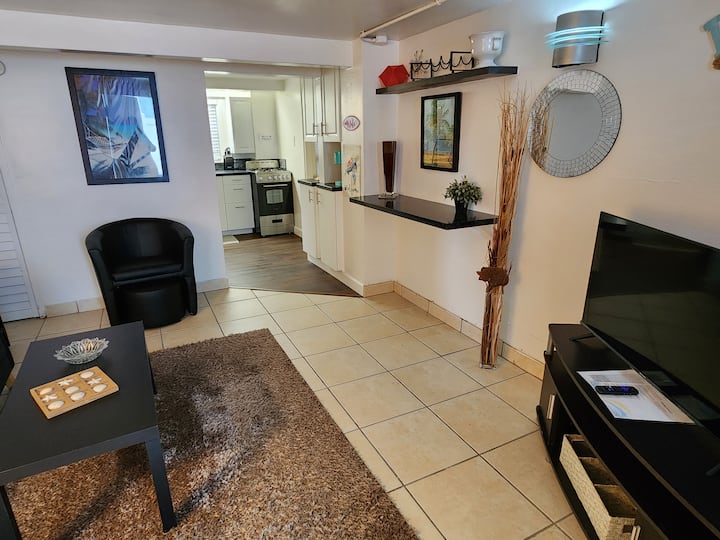 #7 Great 1/1 Beach Apartment - Sea Turtle Room - Treasure Island, FL