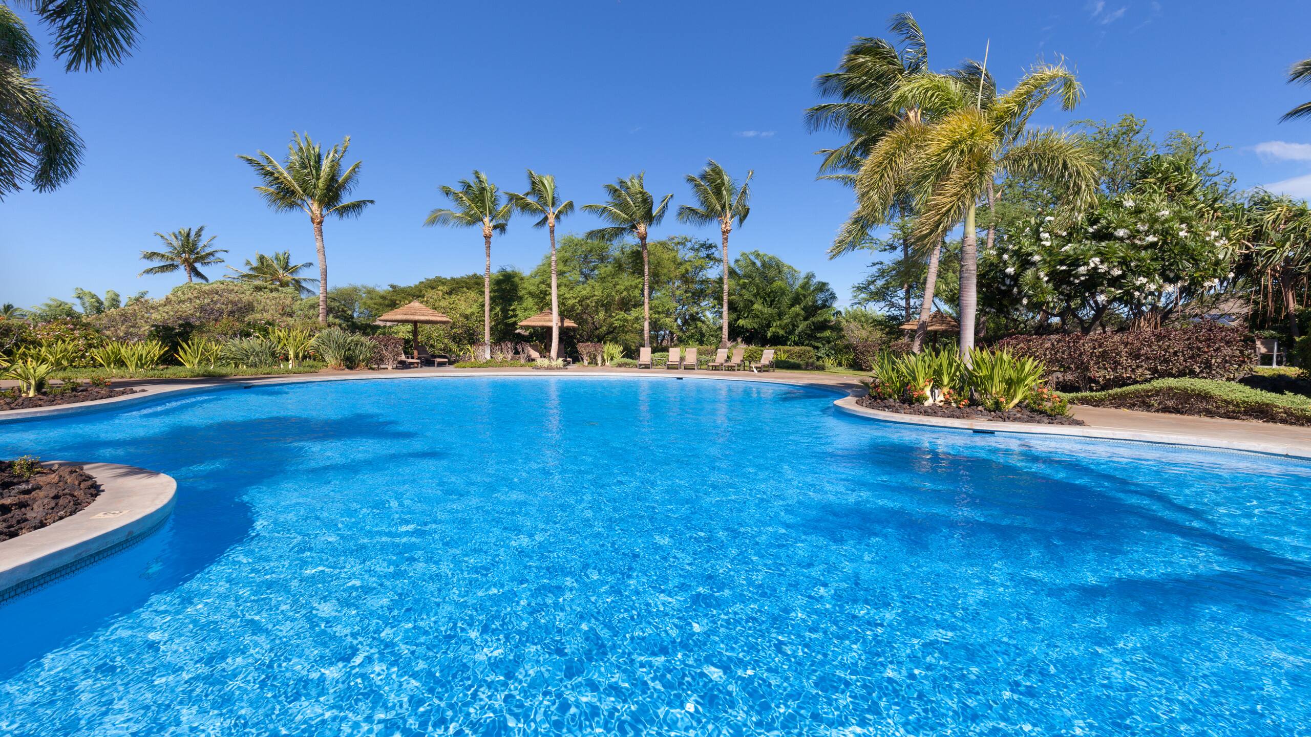 Home in Waimea · ★4.94 · 4 bedrooms · 8 beds · 3 baths - Image 29