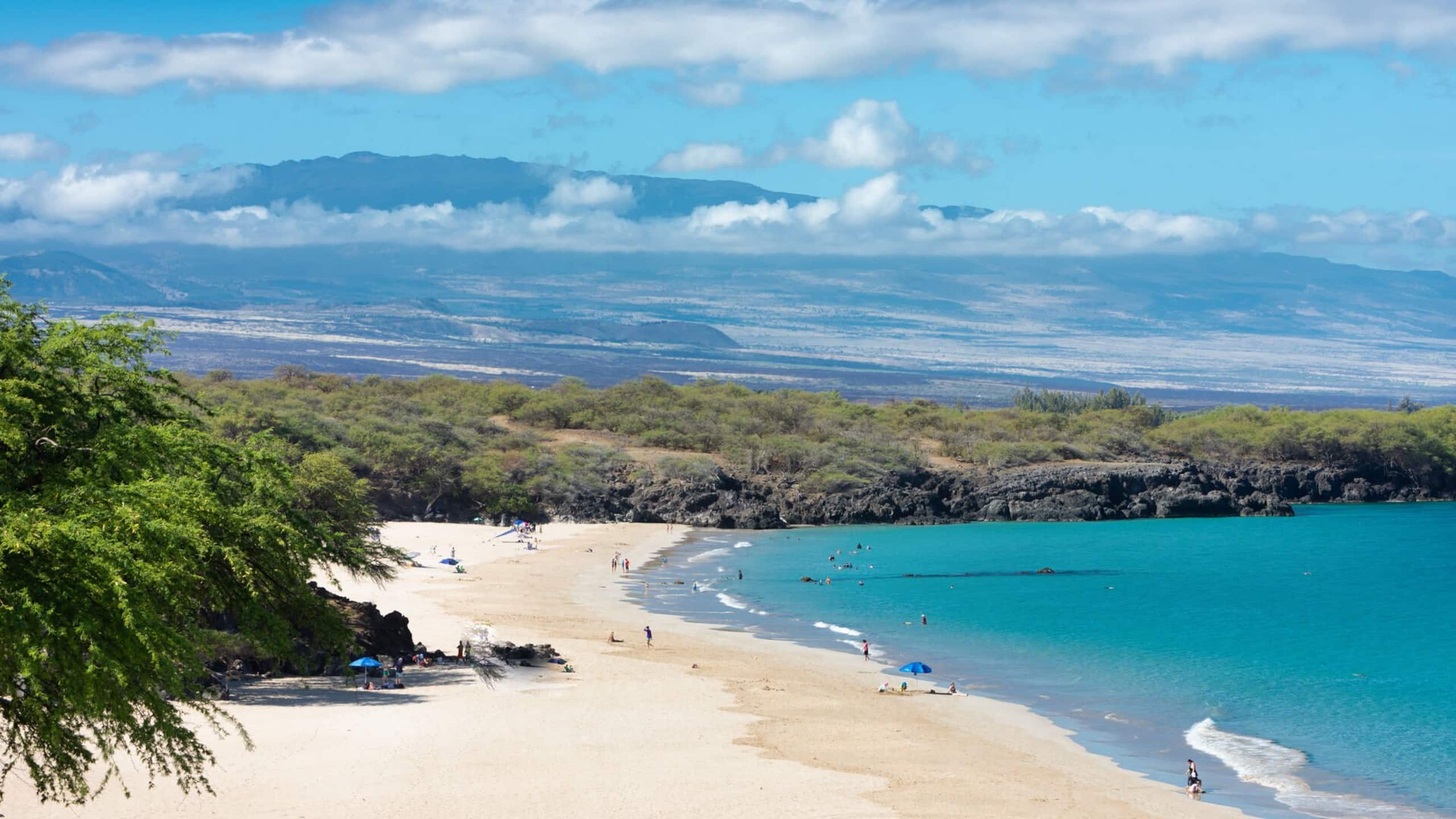 Townhouse in Waimea · ★4.9 · 3 bedrooms · 5 beds · 2.5 private baths - Image 46