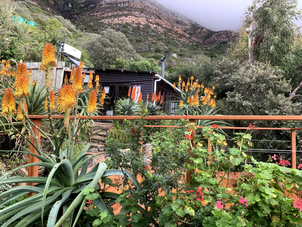 Vibrant flora frames a rustic cottage nestled among lush greenery, with yellow and orange flowers in bloom. The mountain looms in the background, partially shrouded in mist, creating a serene natural setting. A wooden railing surrounds the garden, enhancing the tranquil atmosphere.