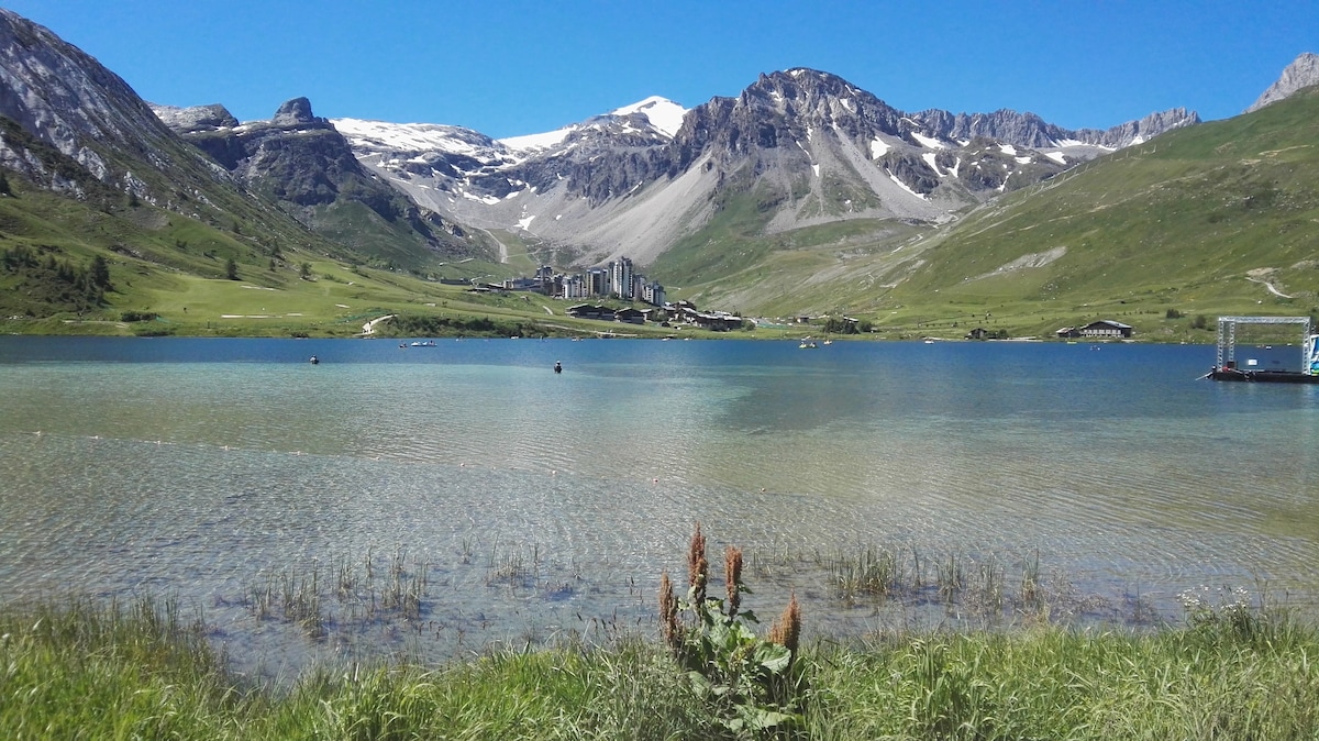 A scenic lake is framed by green grass and wildflowers, with distant mountains visible under a clear blue sky. The water has a calm surface reflecting the landscape, while an alpine village is situated softly along the shoreline.