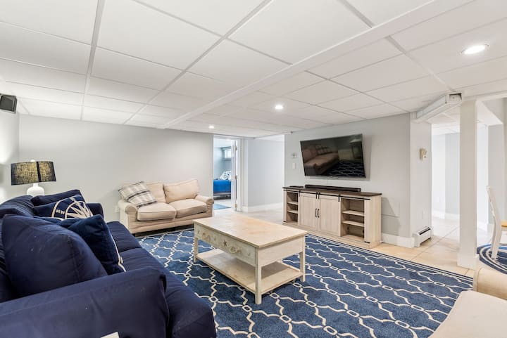 Lower Level Living Area and Queen Sleeper Sofa