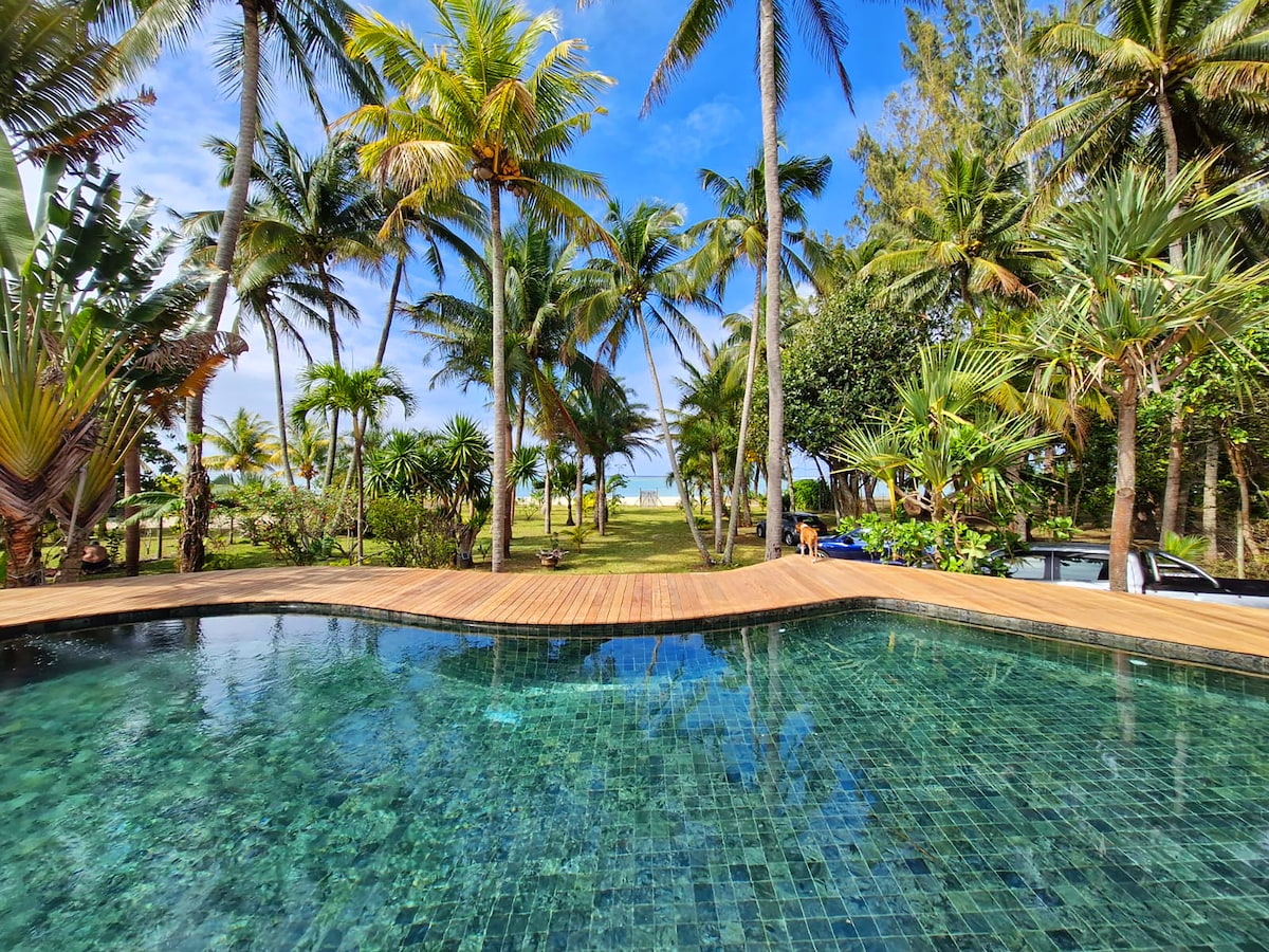 The image displays a private pool surrounded by lush tropical greenery and tall palm trees. The pool features a tiled edge reflecting the clear sky. A wooden deck extends along one side, providing a sunlit area for relaxation and enjoyment of the natural surroundings.