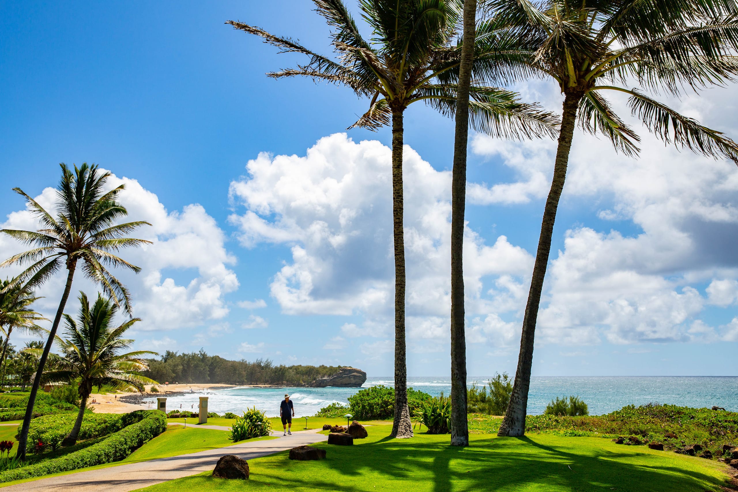 Condo in Koloa · ★4.95 · 3 bedrooms · 6 beds · 3 private baths - Image 38