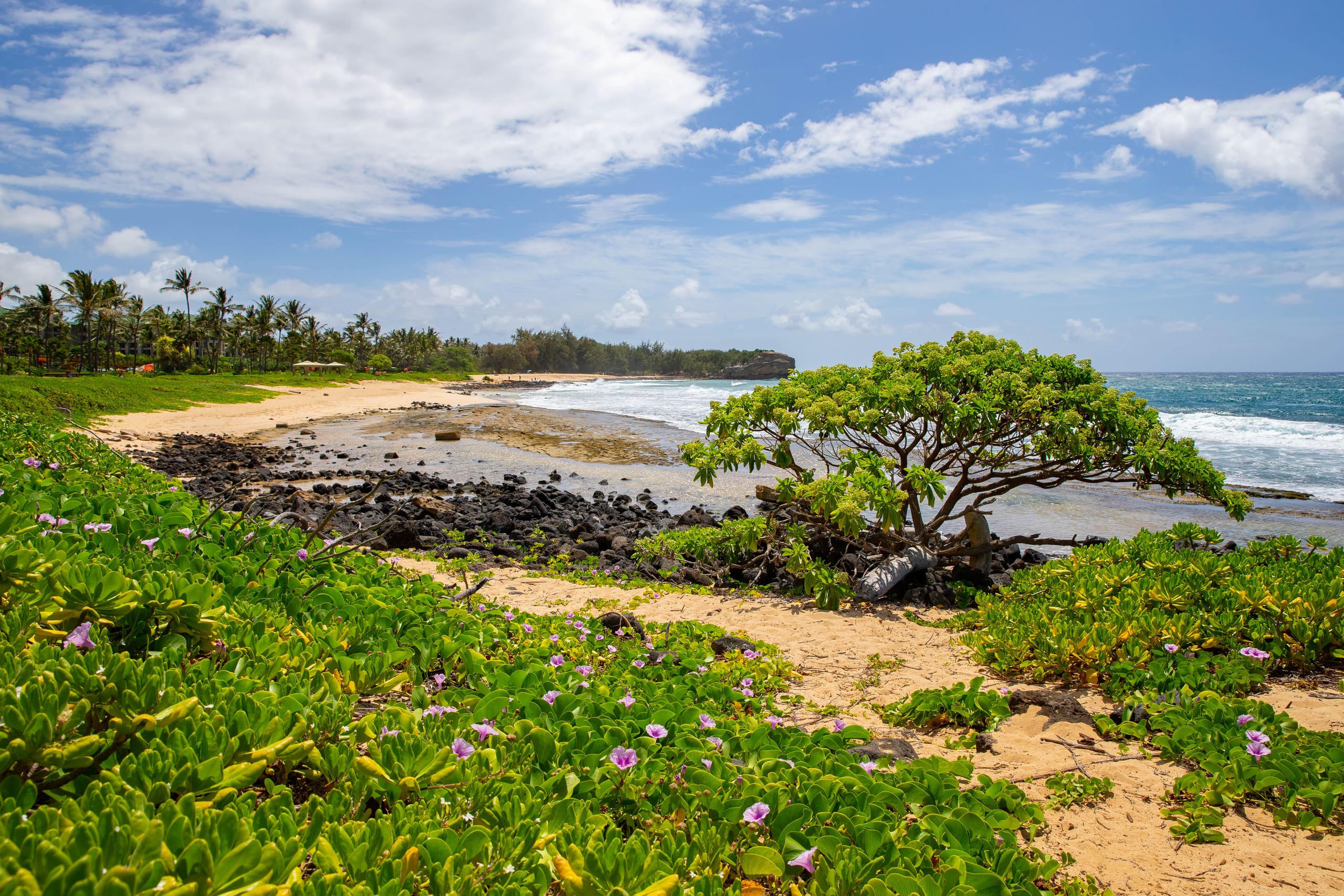 Condo in Koloa · ★4.95 · 3 bedrooms · 6 beds · 3 private baths - Image 36