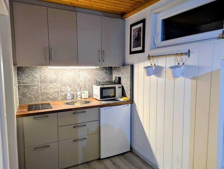 Appartement 2 Chambres + Parking Et Jardin - Morges