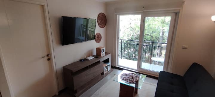 Apartamento En Pucón - Pucon