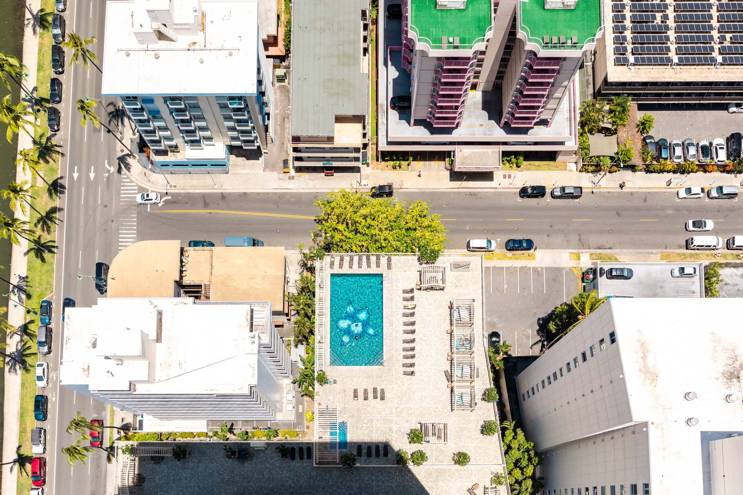 Waikiki studio w/ city skyline view & beach access - Image 38