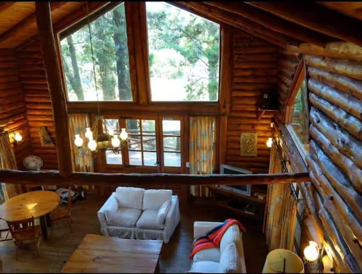 Remanso De Paz En El Bosque, ¡Desconectate Ya! - Villa Gesell