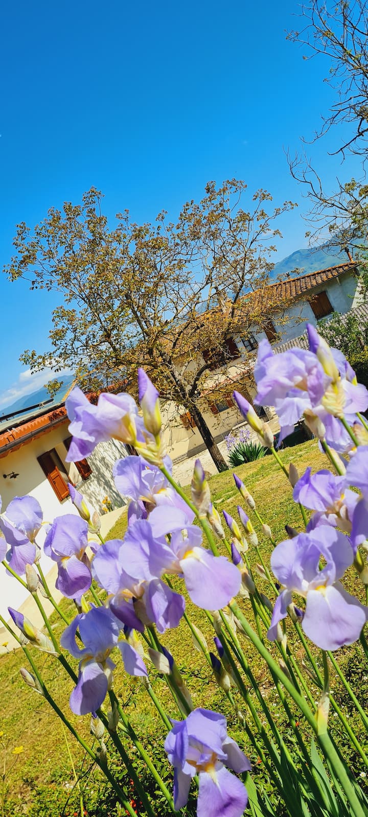 Il Giaggiolo - Locazione Turistica - Mugello