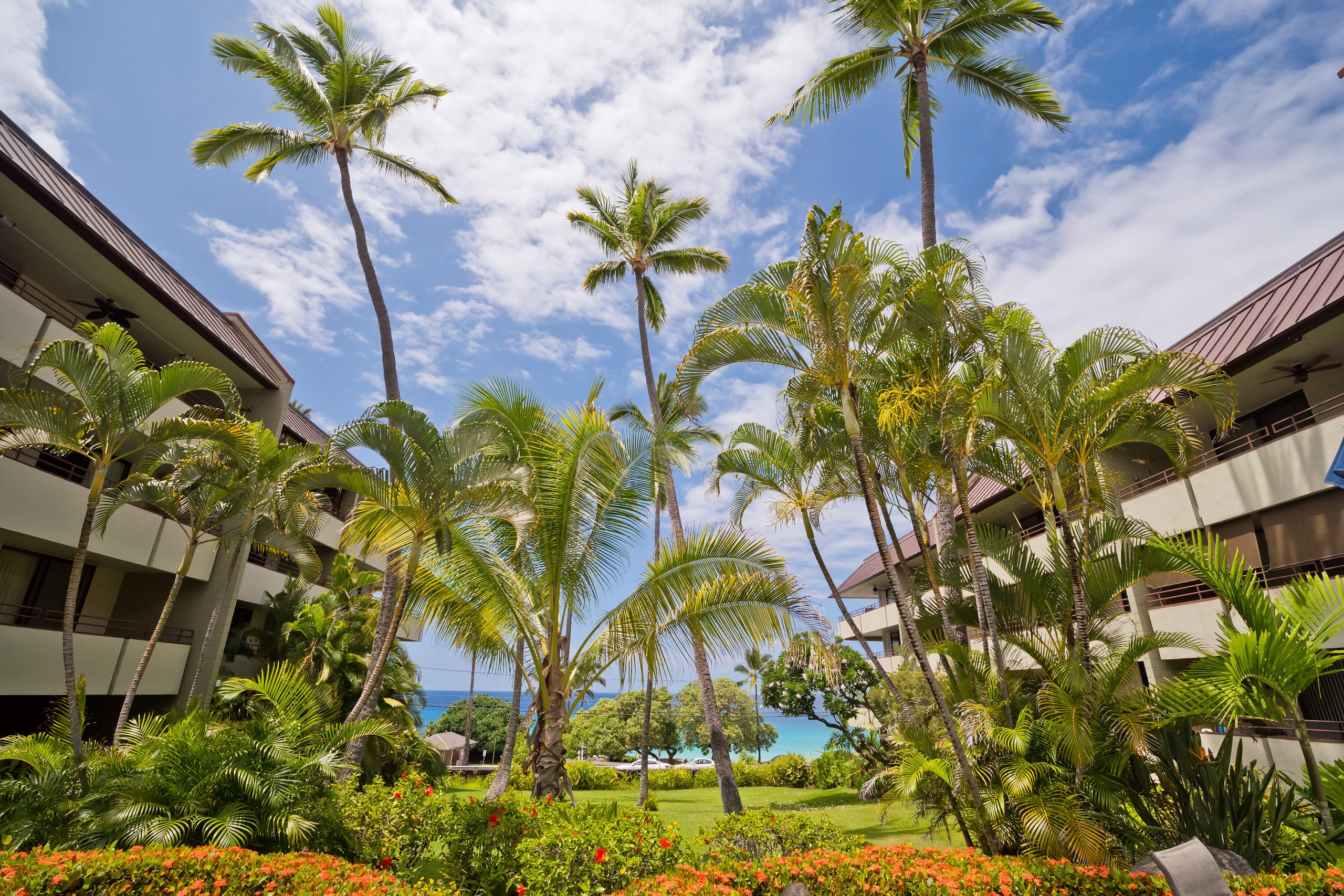 Oceanview White Sands Village @ Magic Sands Beach - Photo 60