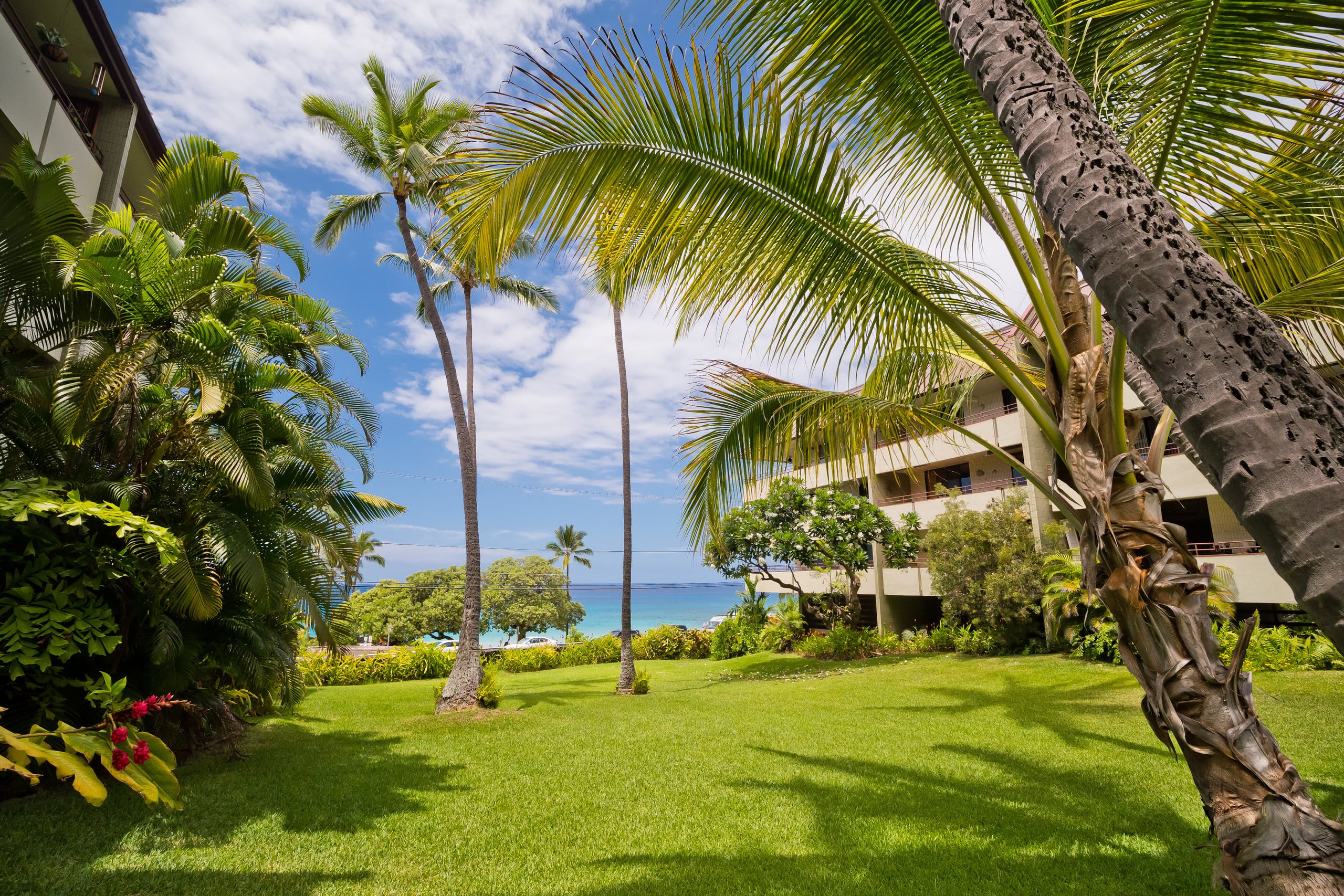 Oceanview White Sands Village @ Magic Sands Beach - Photo 62