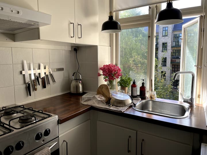 Hyggelig Og Central Frederiksberg Lejlighed - Copenhagen