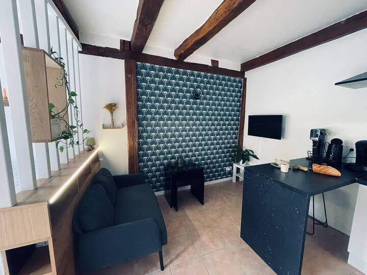 Charmant Studio Dans Le Vignoble Proche Strasbourg - Marlenheim