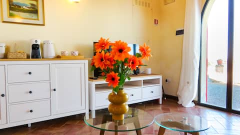 Top performing Airbnb: Rosa: Tuscan Views & Pool, Walk to Town in Lajatico