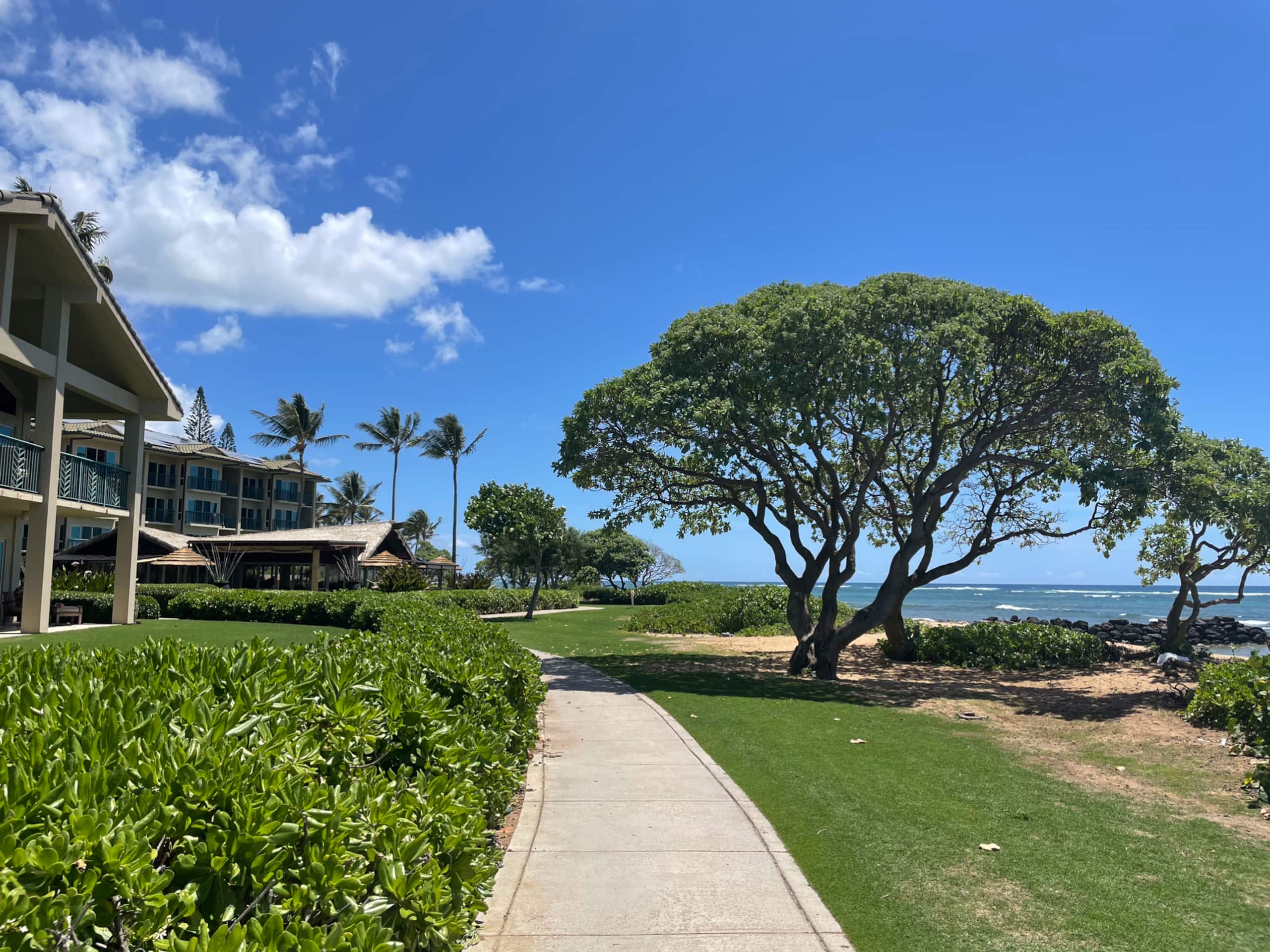 Condo in Kapaa · ★4.83 · 1 bedroom · 2 beds · 2 baths - Image 16