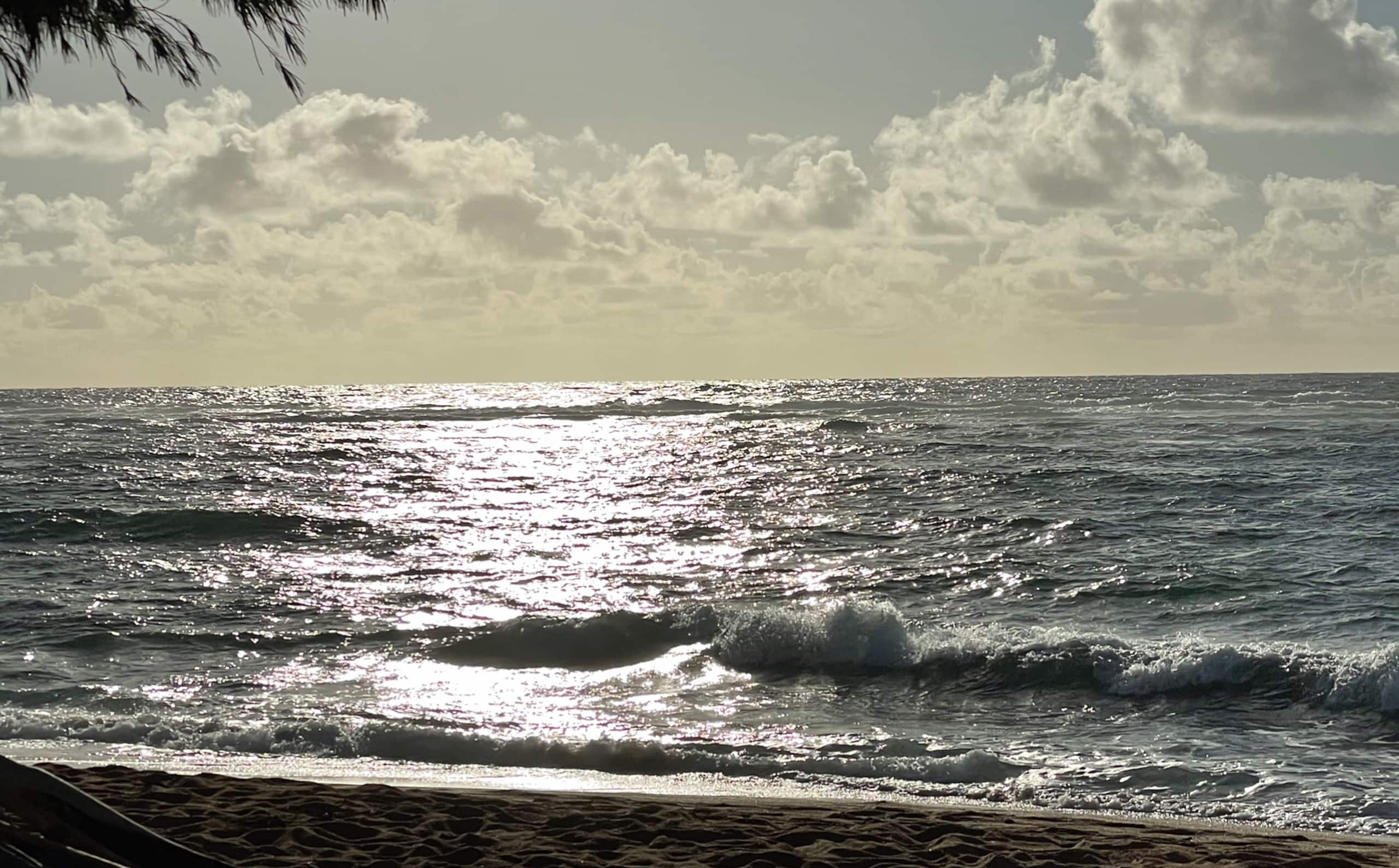 Condo in Kapaa · ★4.83 · 1 bedroom · 2 beds · 2 baths - Image 15