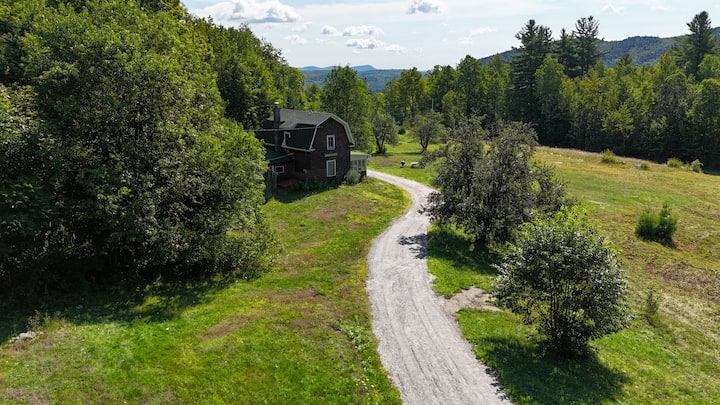 Authentic Adirondack Bird Camp - Indian Lake, NY